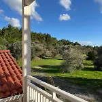 Forest House - Kuscular