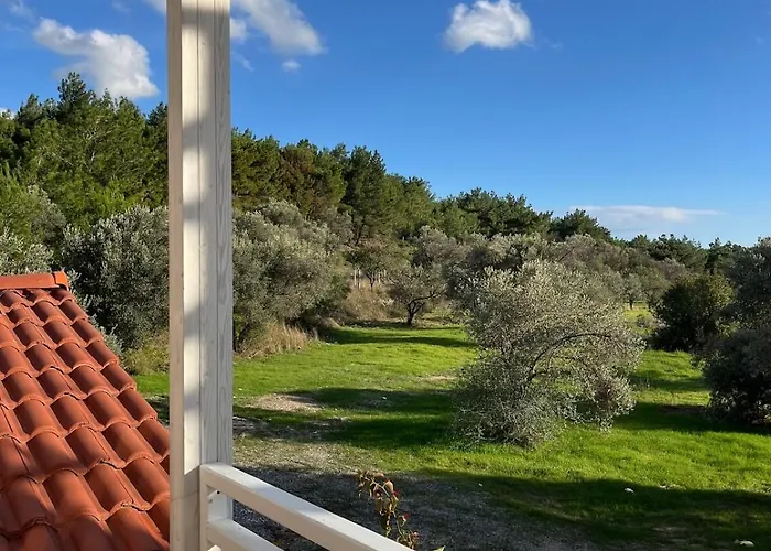 Forest House - Kuscular